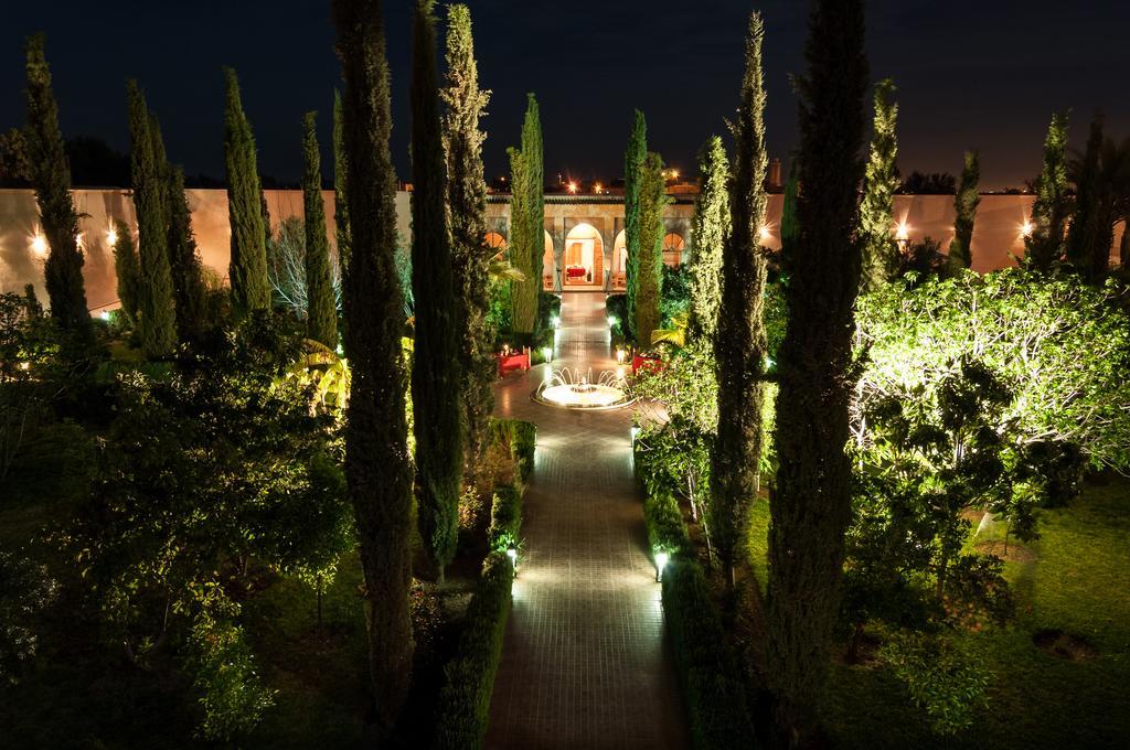 Riad Sougtani Tazrou Luaran gambar