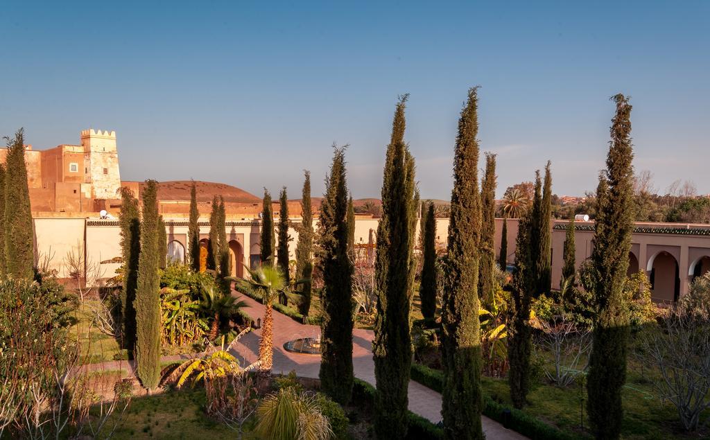 Riad Sougtani Tazrou Luaran gambar